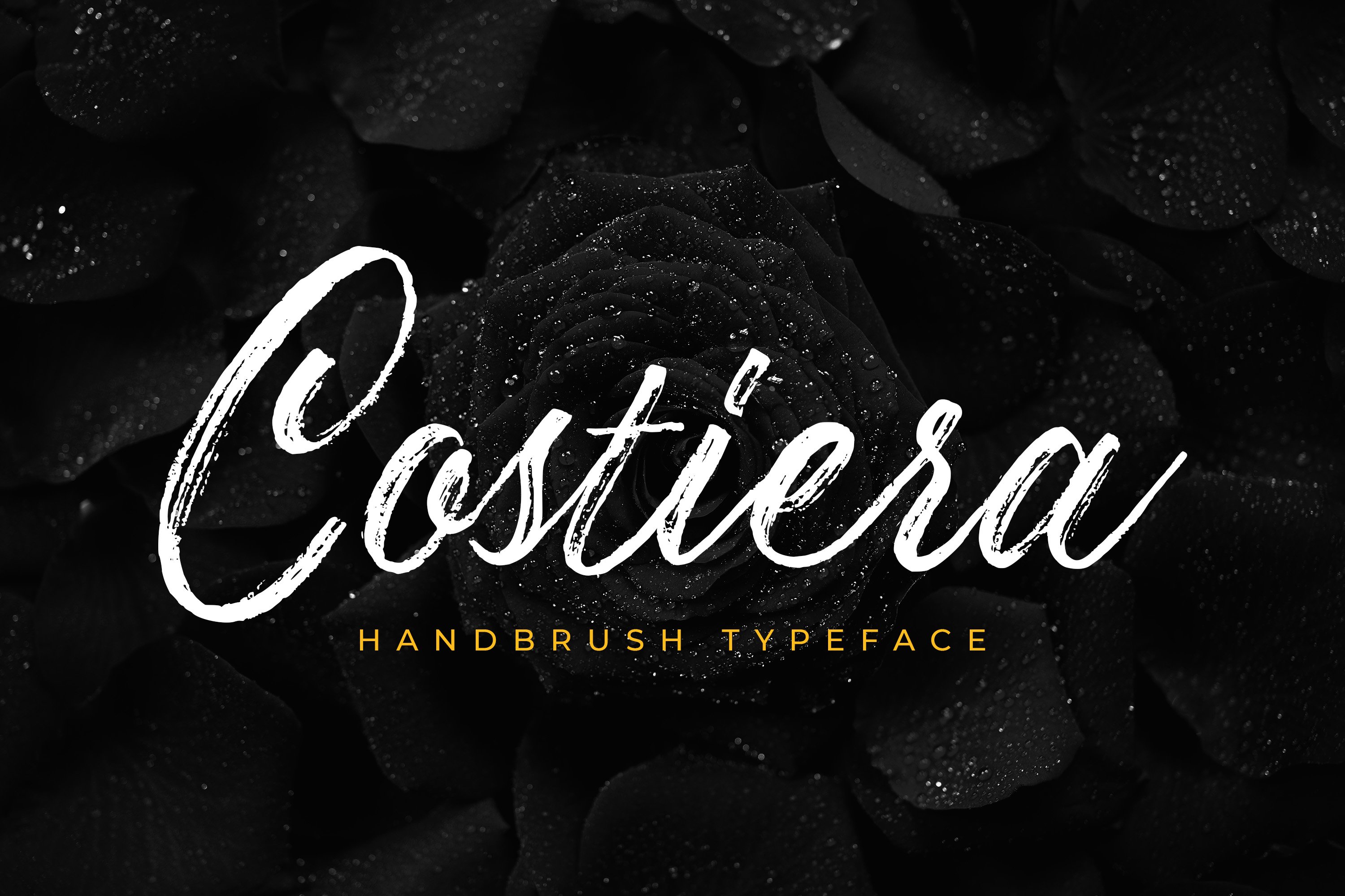 毛笔笔刷英文字体 Costiera - Elegant Ha