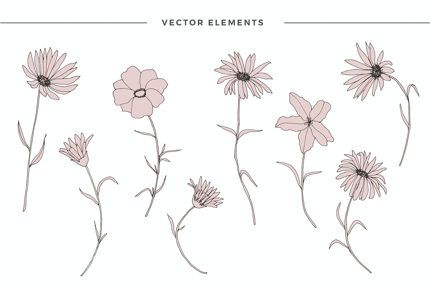1时尚高端精致优雅的高品质花卉图案背景底纹纹理集合.jpg