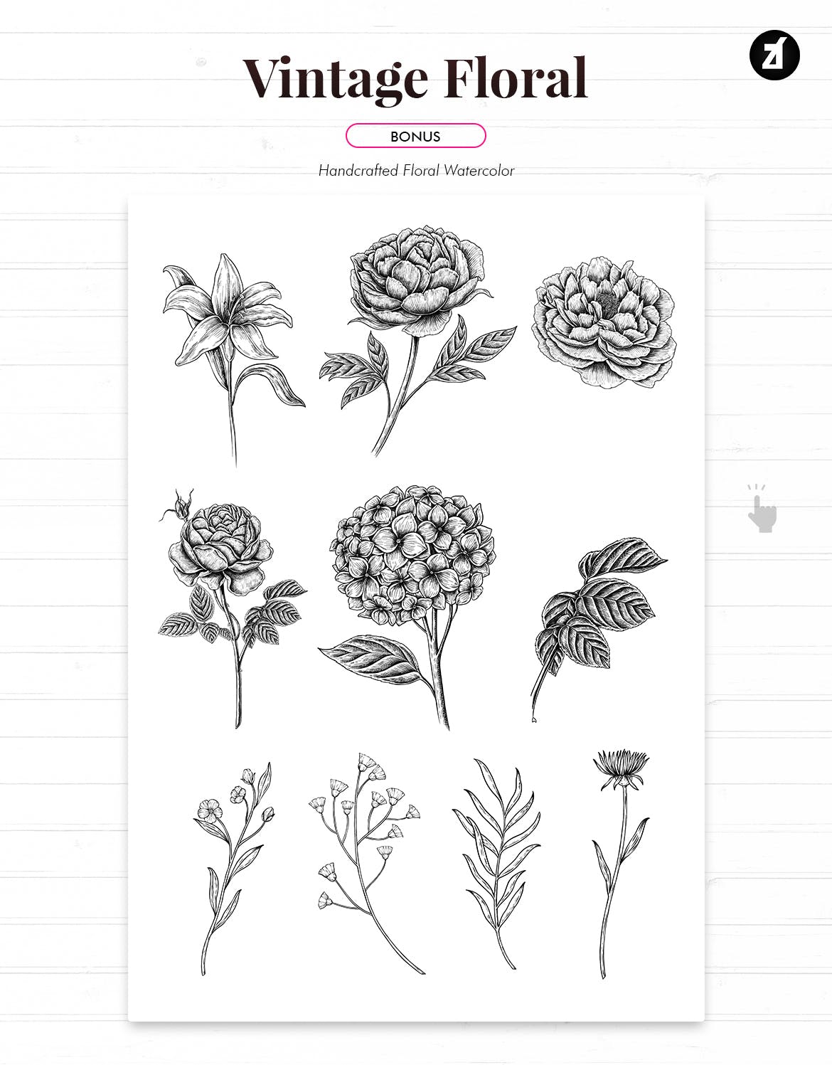 复古明信片手绘花卉插画素材（AI）
