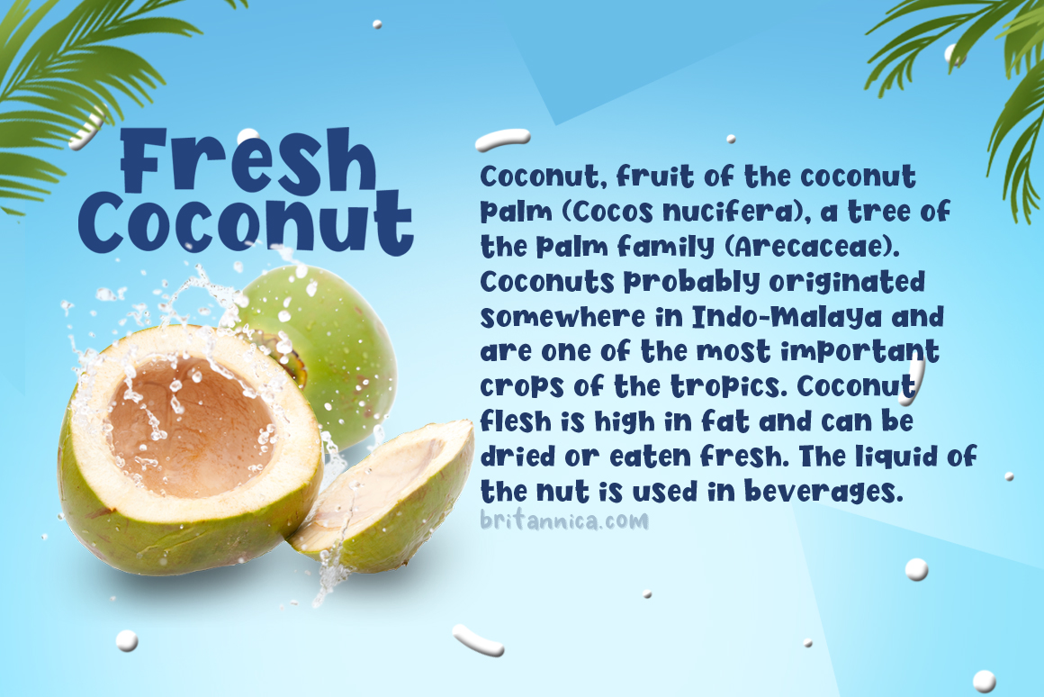 有趣的粗体英文字体 Fresh Coconut