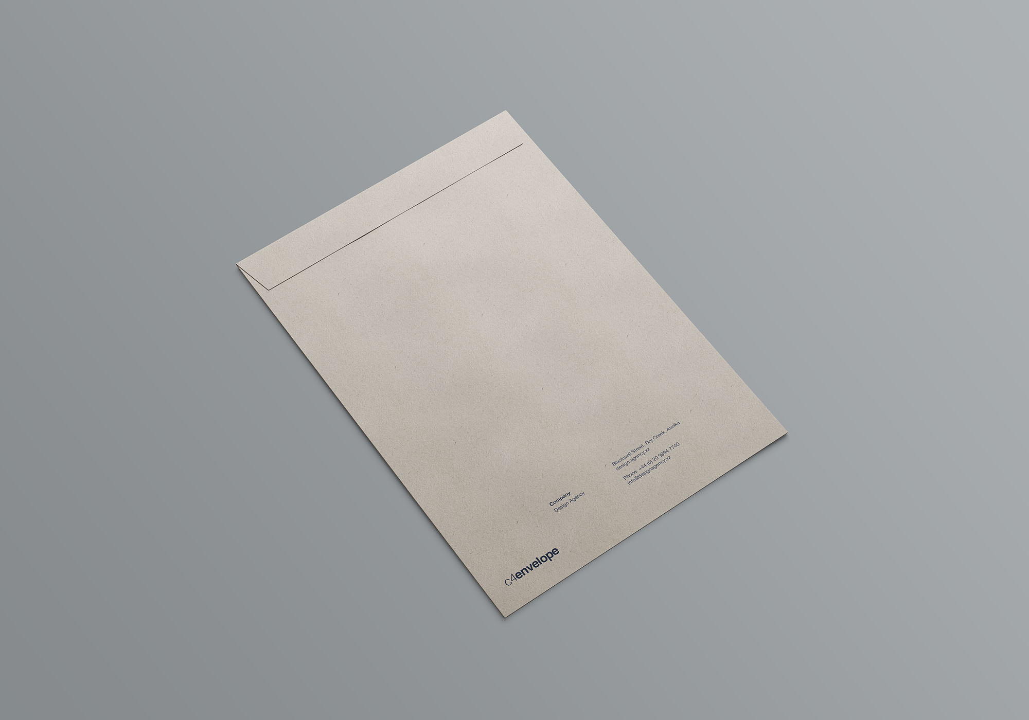 C4标准尺寸信封设计图样机 C4 Envelope Mock