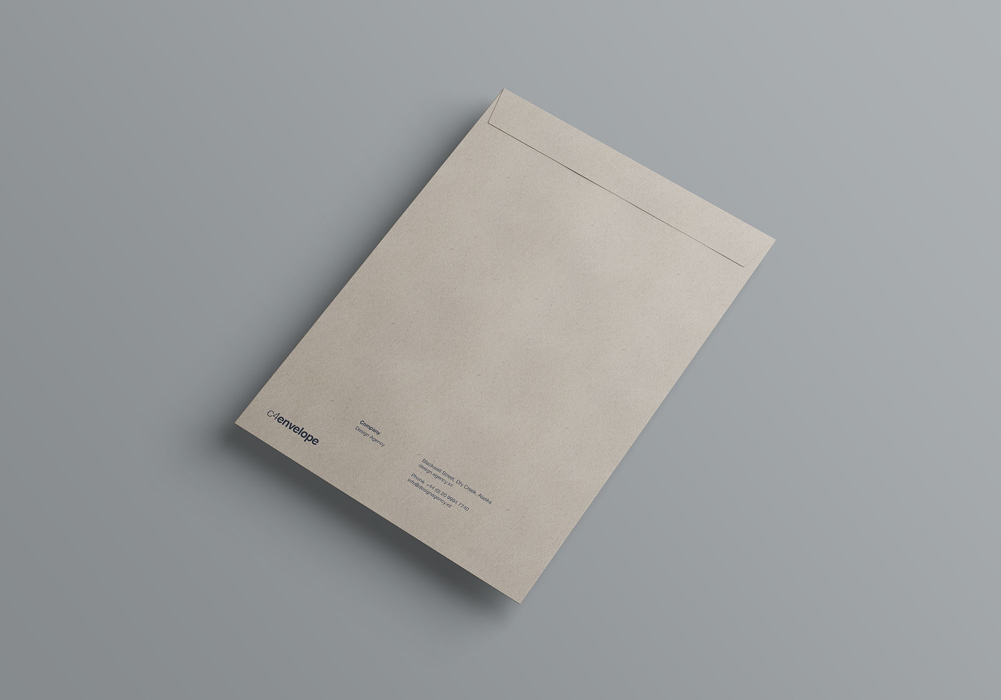 C4标准尺寸信封设计图样机 C4 Envelope Mock