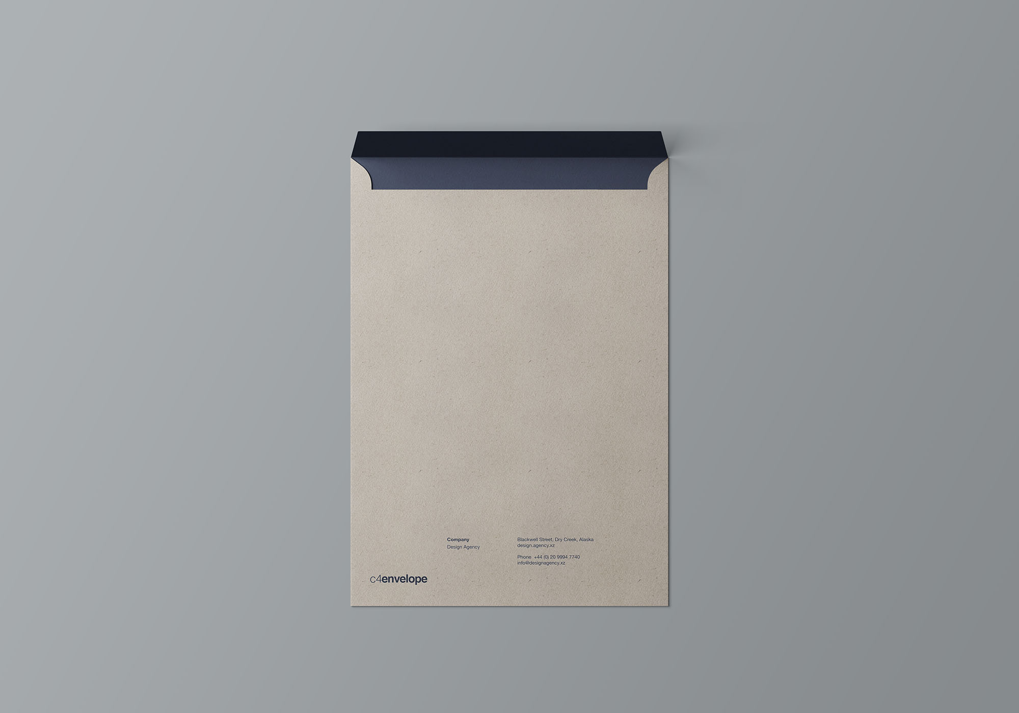 C4标准尺寸信封设计图样机 C4 Envelope Mock