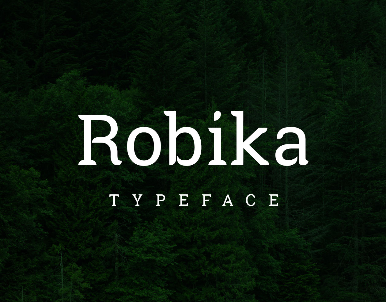 带有独特圆角英文衬线字体 Robika Serif Type