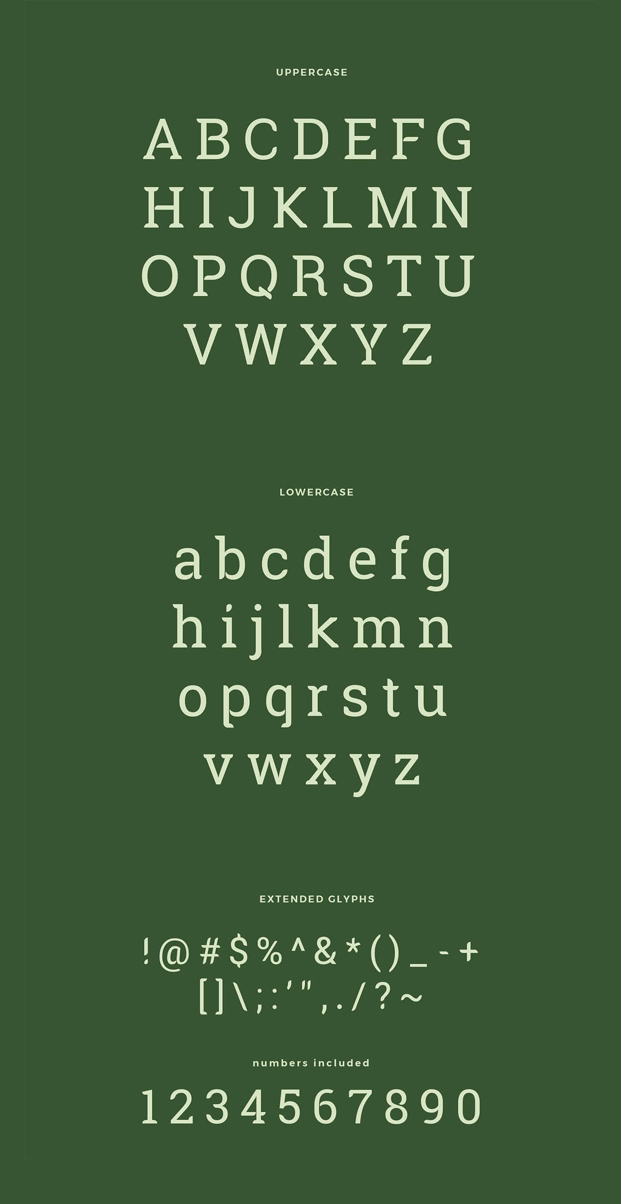 带有独特圆角衬线的字体 Robika Serif Typef