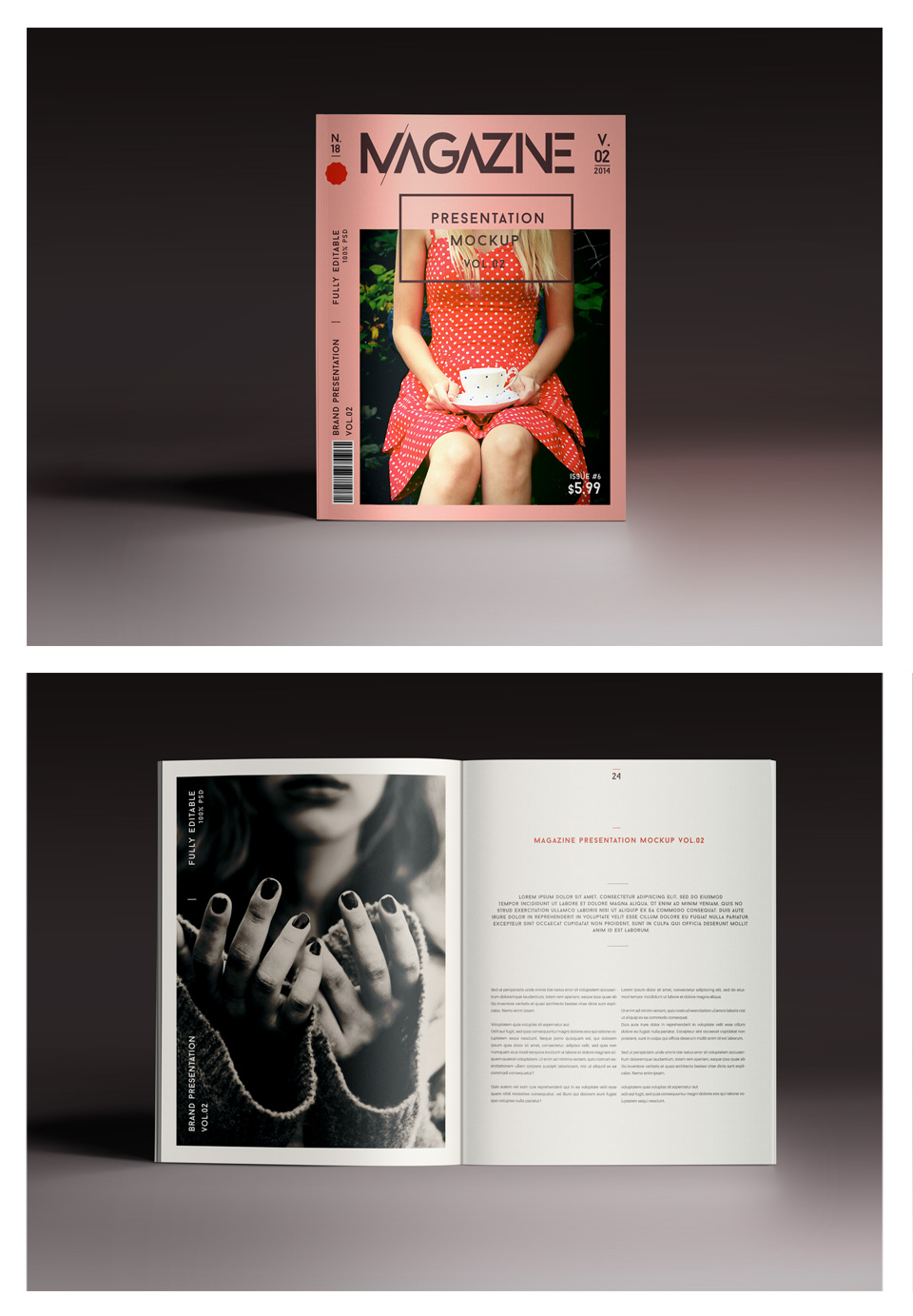 时尚杂志样机 Psd Magazine Mockup Vie