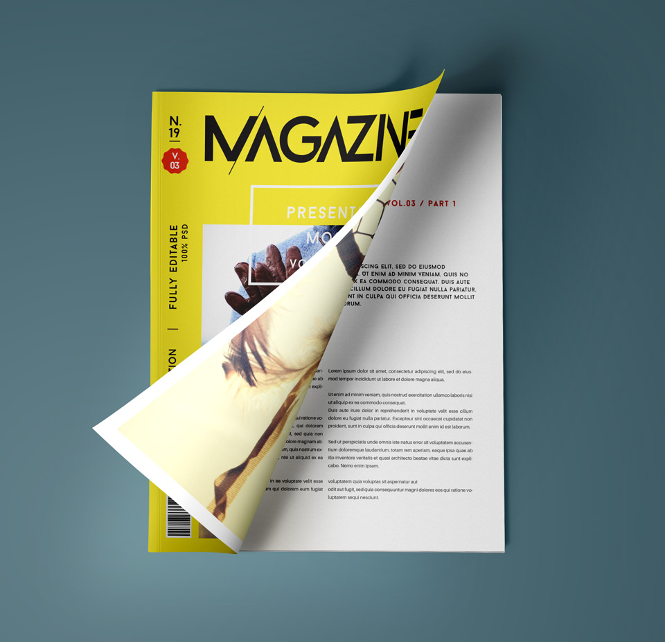 时尚杂志样机 Psd Magazine Mockup Vie