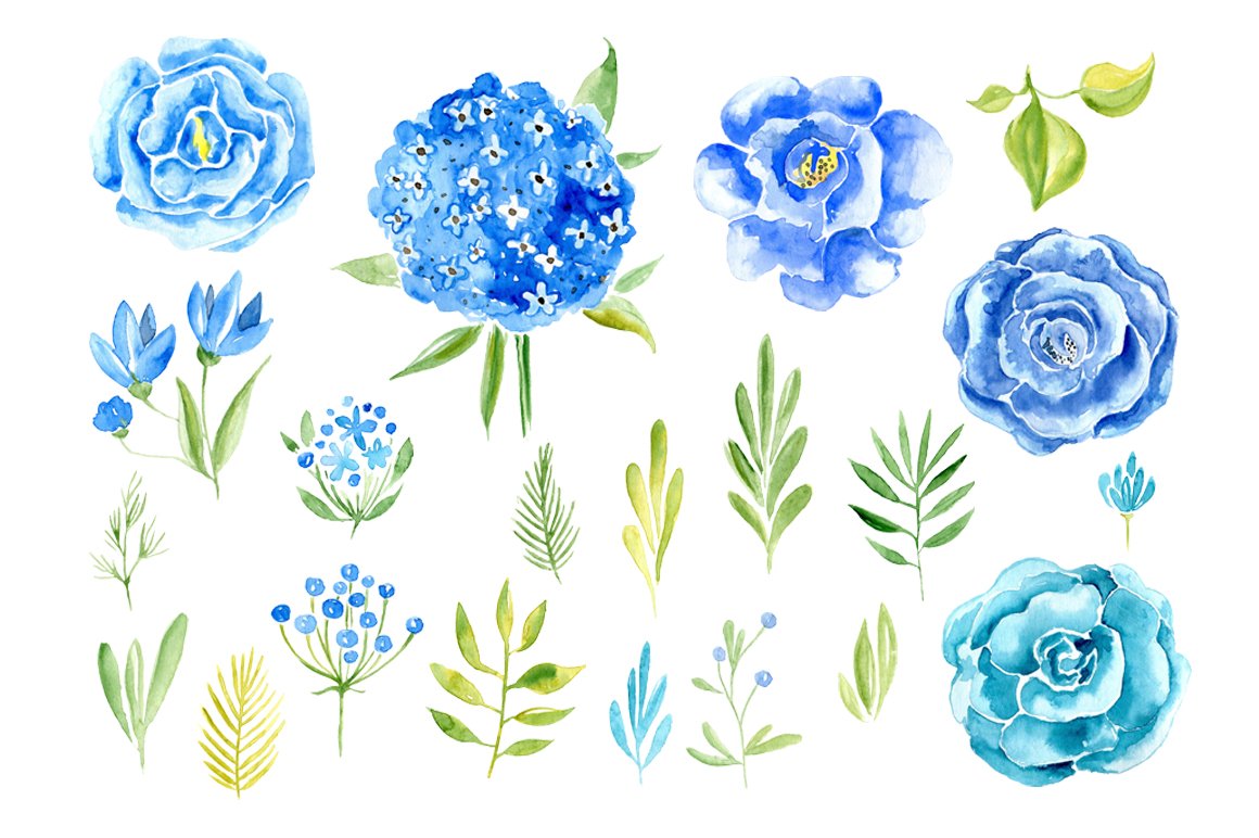 手绘蓝色玫瑰水彩画花卉剪贴画素材 Watercolor bl