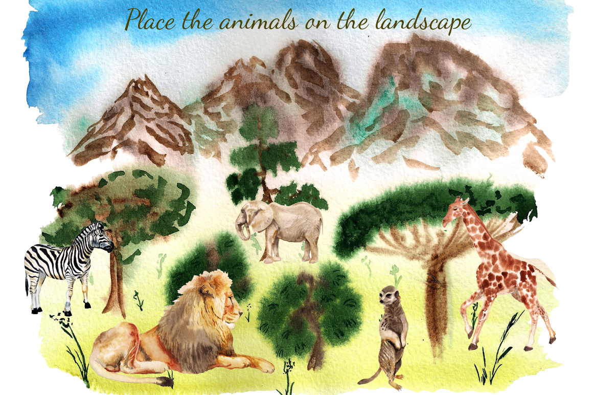 高质量手绘水彩画非洲野生动物剪贴画合辑 Watercolor