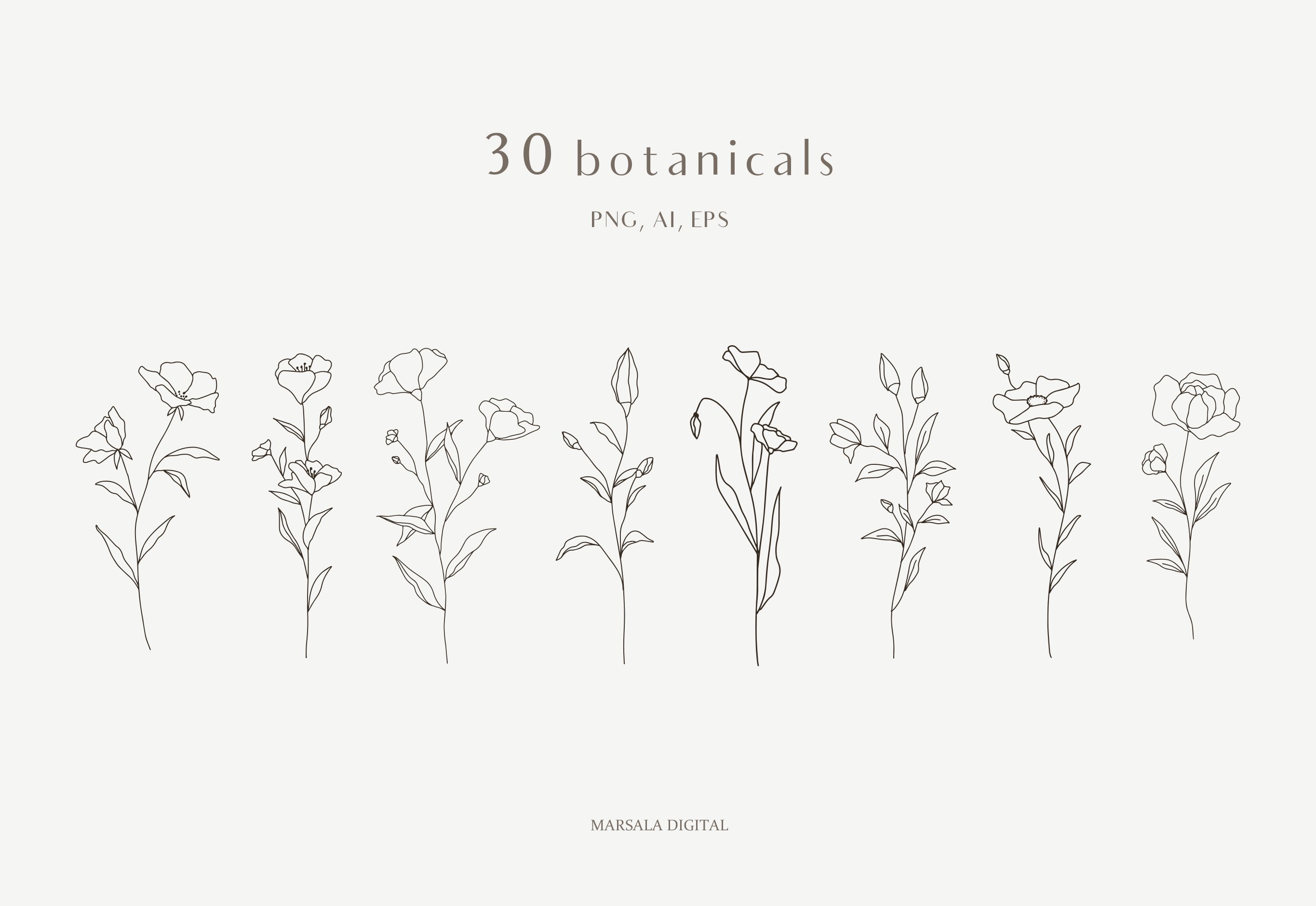 素描手绘植物花卉线条矢量插画素材合辑 Botanical L