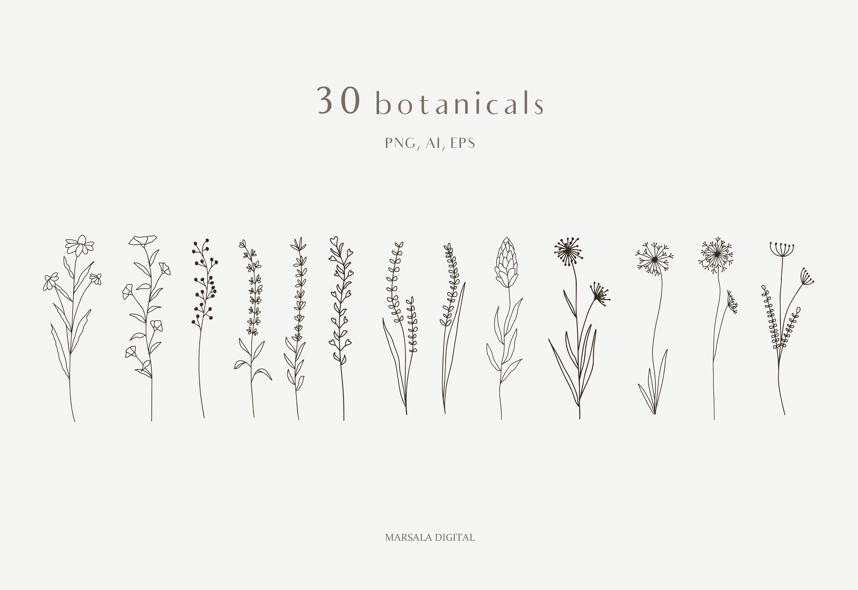 素描手绘植物花卉线条矢量插画素材合辑 Botanical L