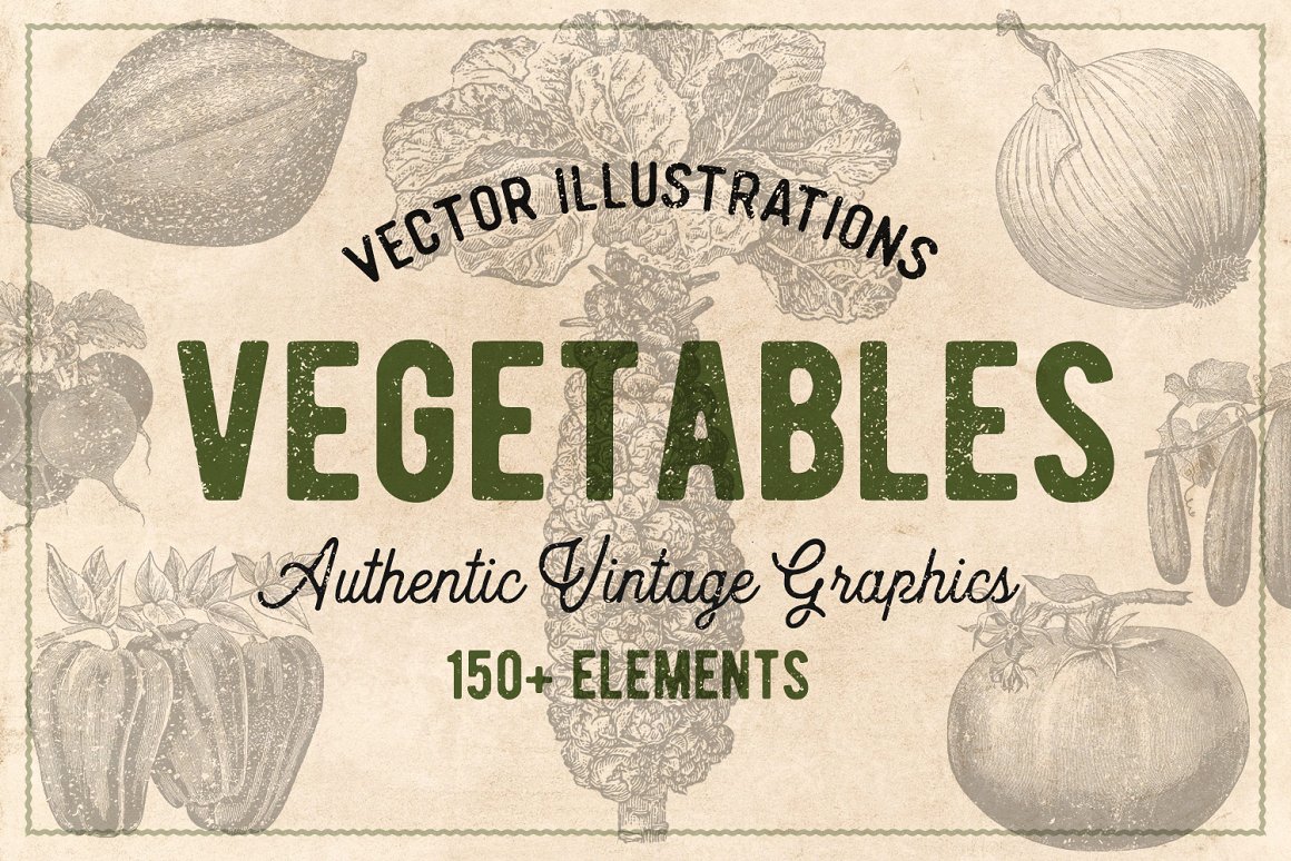 150张手绘复古蔬菜草药矢量插画素材 Vintage Veg