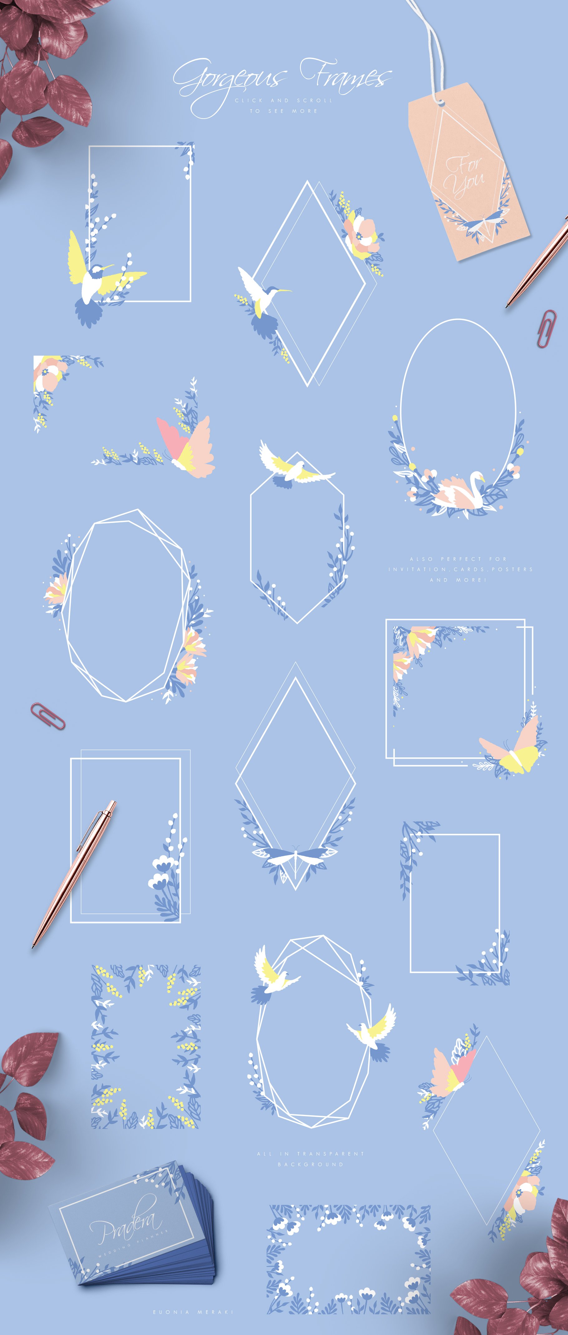 清新自然的春季蜂鸟花卉女性品牌设计素材合辑包 Confia