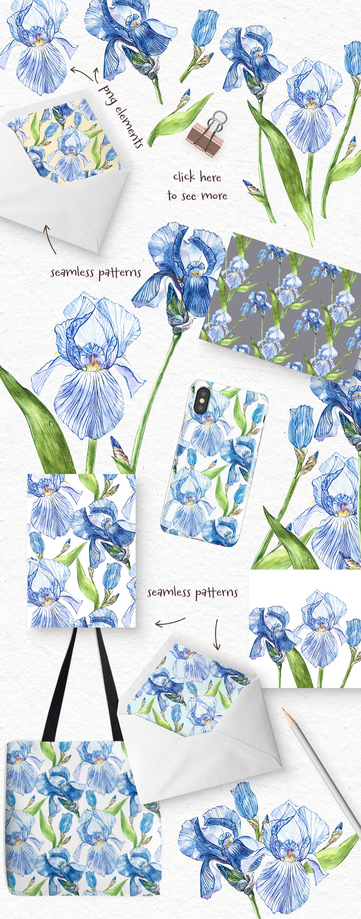 水彩手绘鸢尾花植物插画素材 Iris watercolor