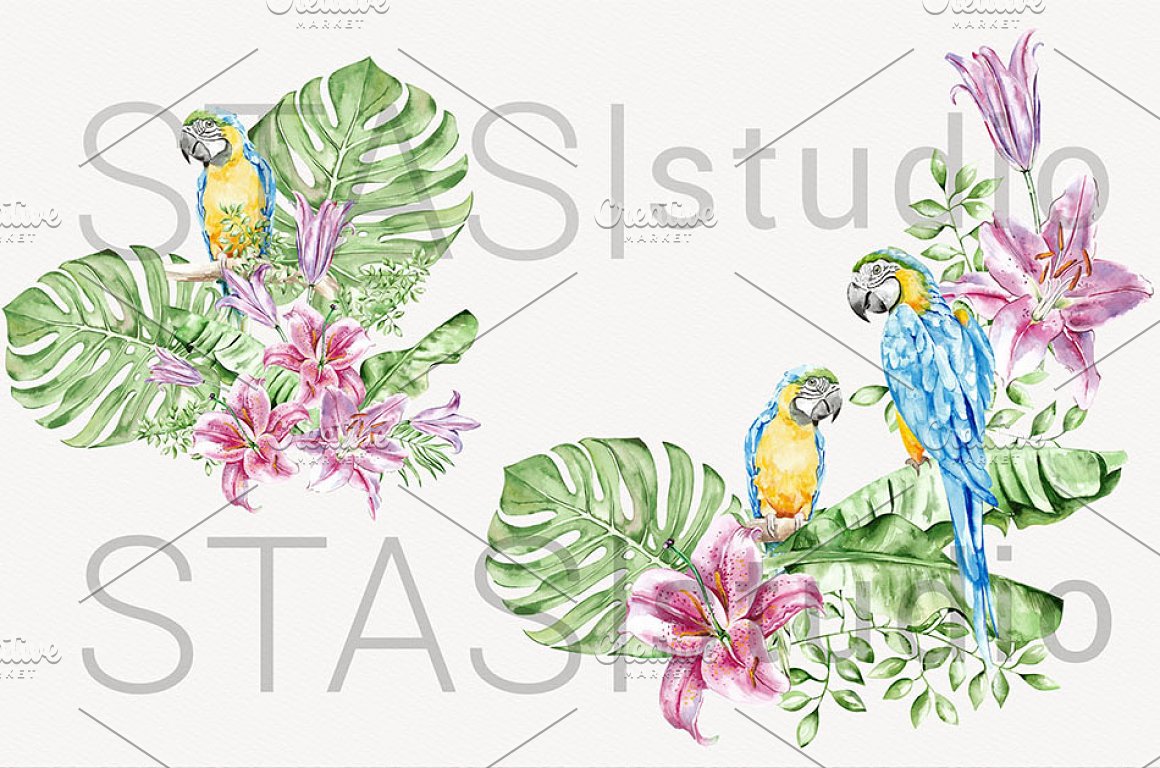 水彩手绘夏季热带鹦鹉花卉棕榈叶婚礼主题插画 Summer W