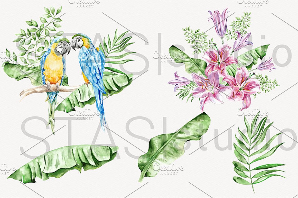 水彩手绘夏季热带鹦鹉花卉棕榈叶婚礼主题插画 Summer W