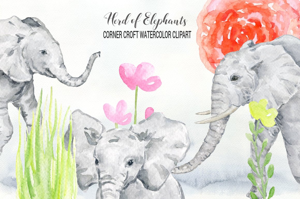水彩手绘大象野生动物插画剪贴画素材 Watercolor E