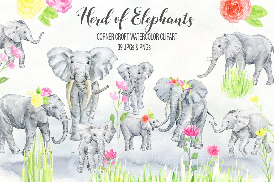 水彩手绘大象野生动物插画剪贴画素材 Watercolor E