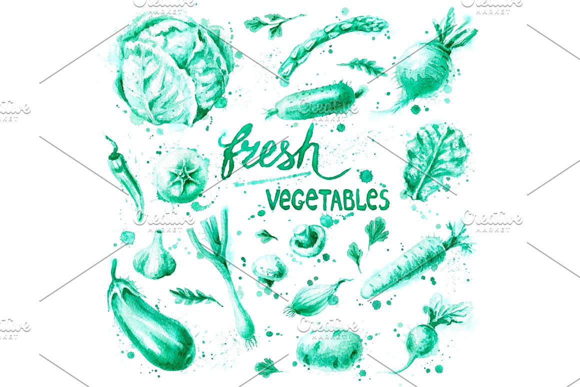 水彩手绘向日葵西兰花白菜等有机食品剪贴画素材 Natural