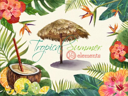 水彩手绘热带夏季元素剪贴画素材 Tropical Summe