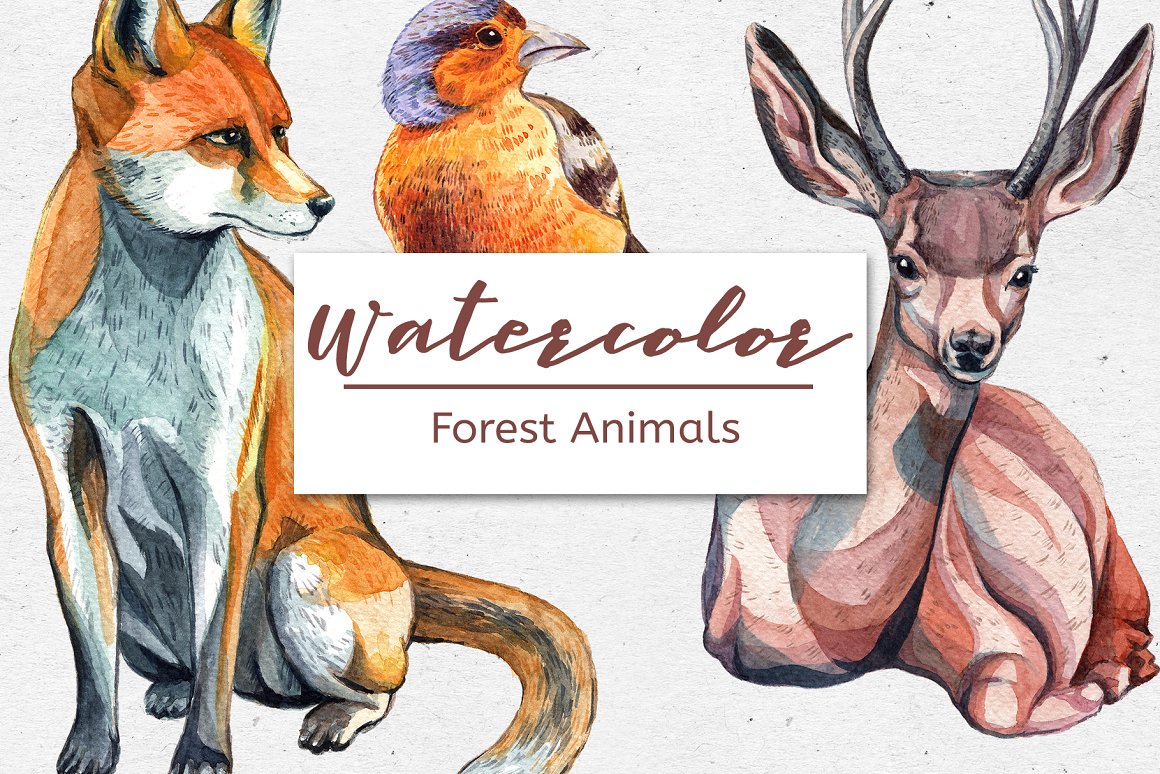 6款森林动物水彩手绘剪贴画素材 Watercolor For