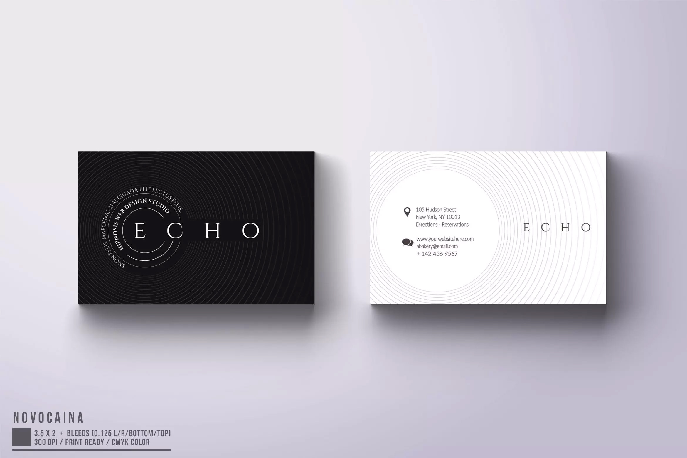 经典黑白配色简约风企业名片模板 Echo Business