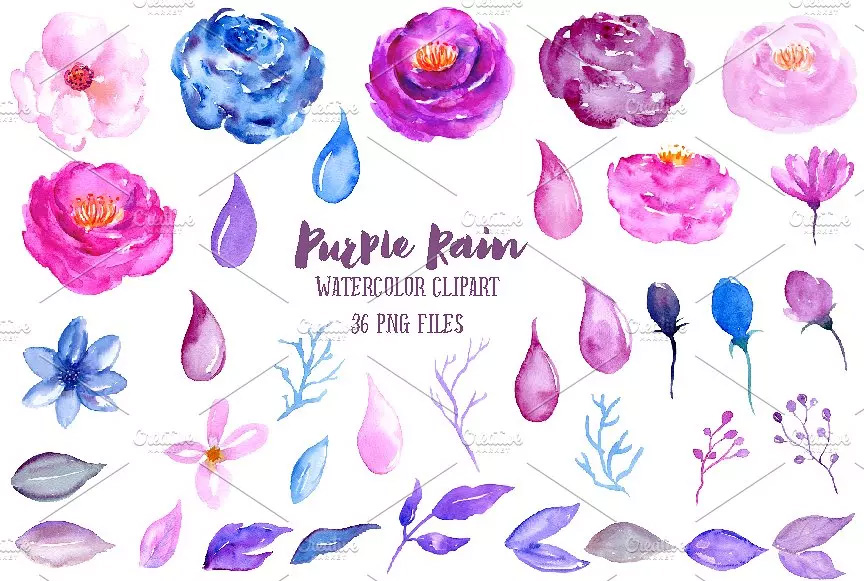 紫色水彩雨滴花瓣花卉剪贴画 Watercolor Purpl