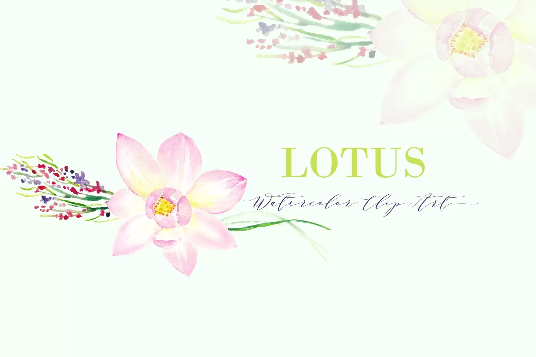 粉色莲花水彩剪贴画 Pink Lotus. Watercol