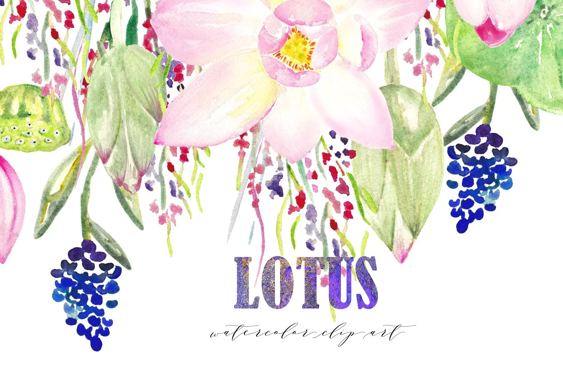 粉色莲花水彩剪贴画 Pink Lotus. Watercol