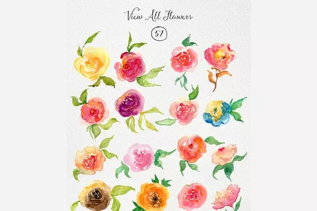 浪漫玫瑰水彩素材 Watercolor Roses