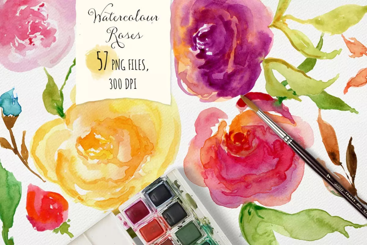 浪漫玫瑰水彩素材 Watercolor Roses