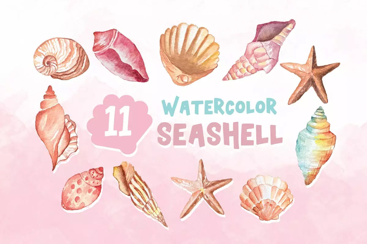 11款水彩贝壳插画 11 Watercolor Seashe