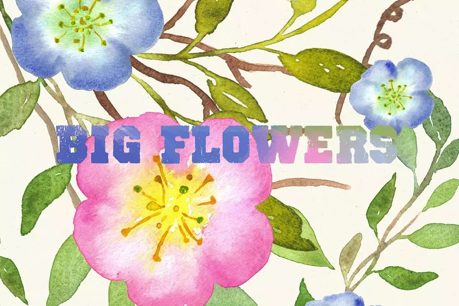 水彩手绘花卉艺术设计素材 Big Flowers water