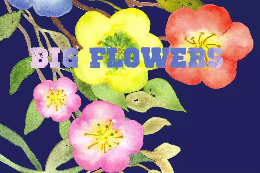 水彩手绘花卉艺术设计素材 Big Flowers water