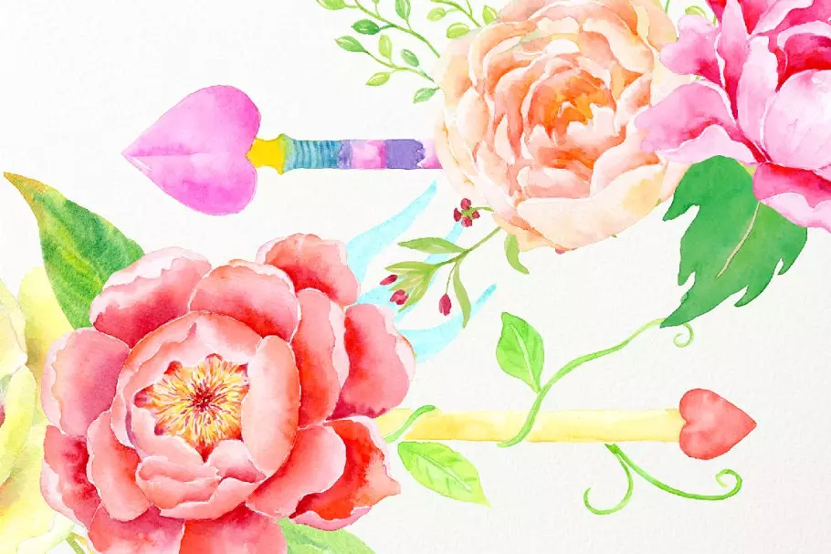 西米亚水彩牡丹插画 Watercolor Boho Peon