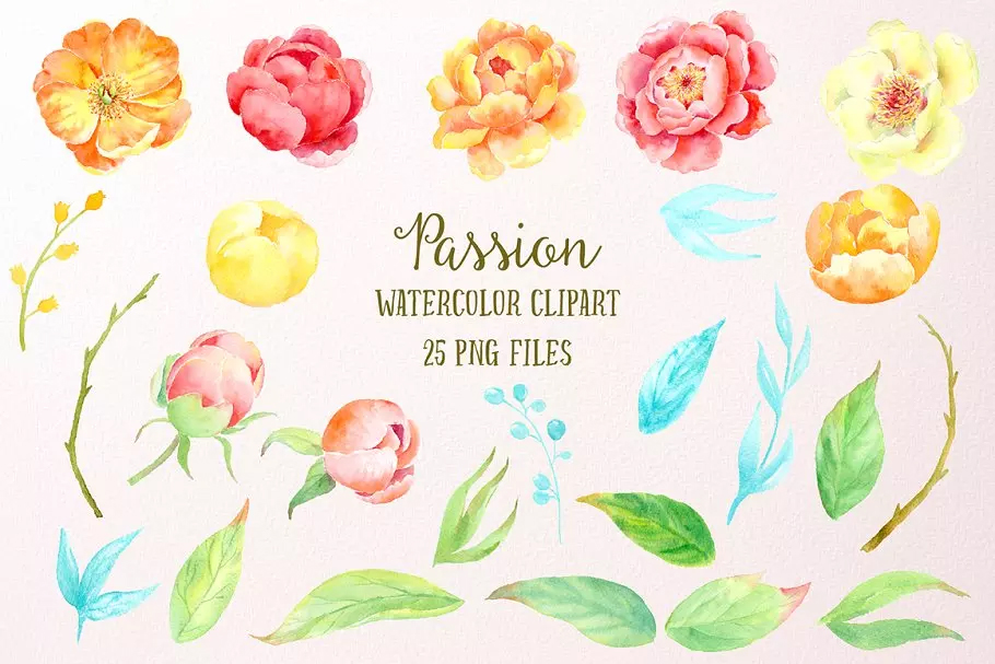 激情水彩牡丹插画艺术 Watercolor Clipart