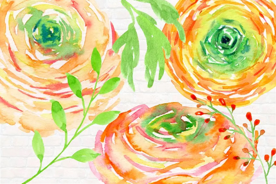 橙色水彩毛茛花卉剪贴画 Watercolor Clipart