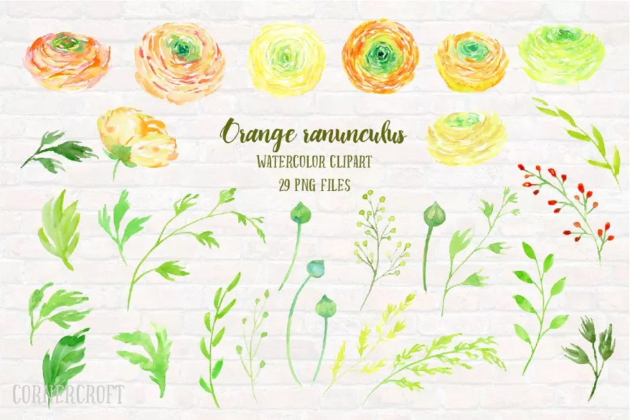 橙色水彩毛茛花卉剪贴画 Watercolor Clipart