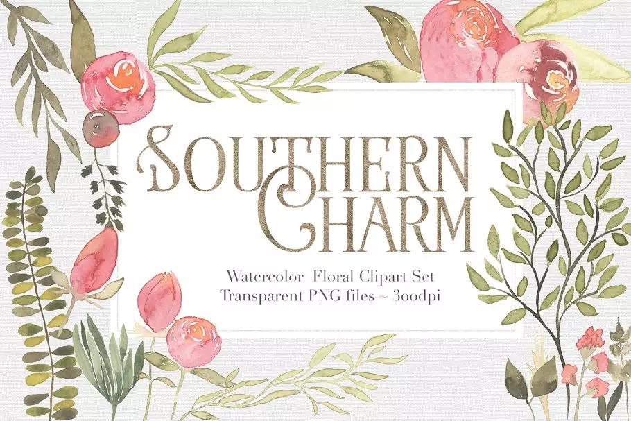 水彩手绘粉色调搭配花卉 Southern Charm Flo