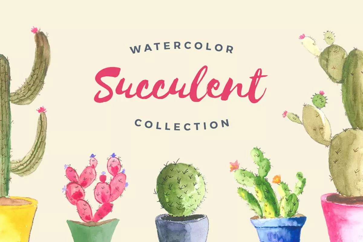 多肉植物手绘水彩插画 Watercolor Succulen