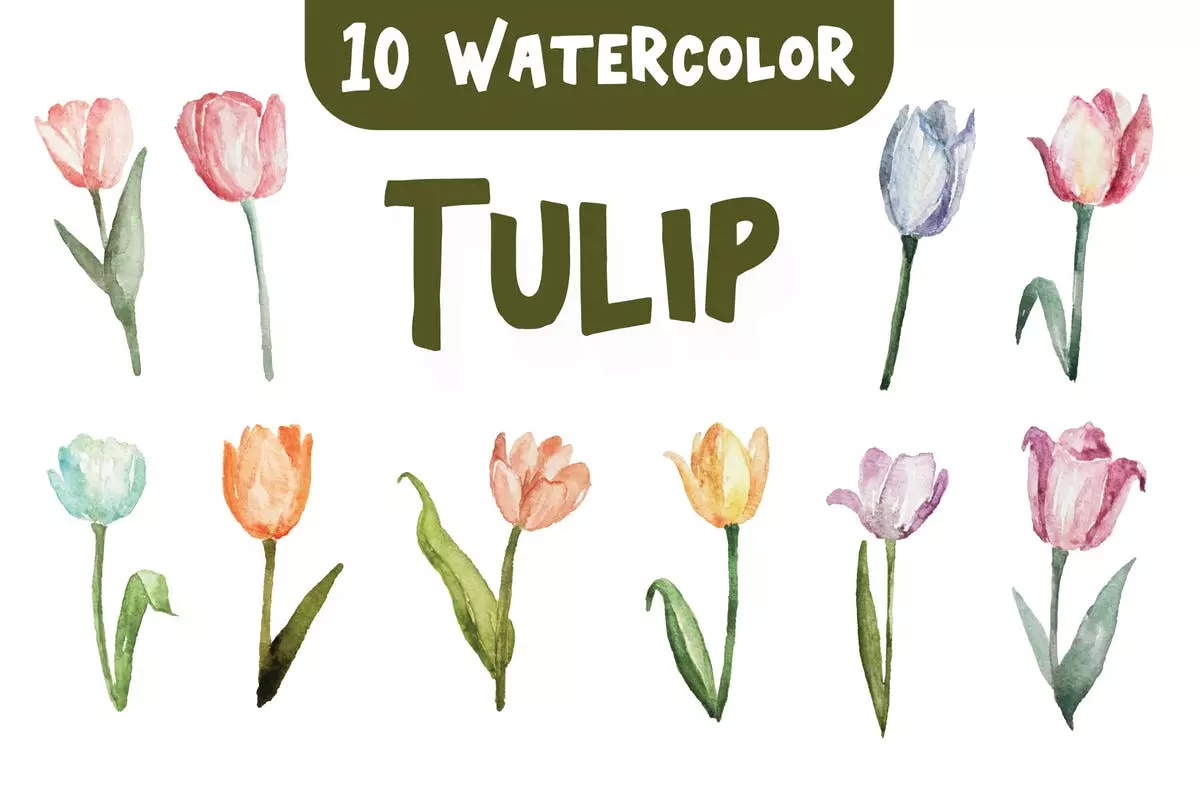 10种郁金香花水彩插画 10 Watercolor Tuli