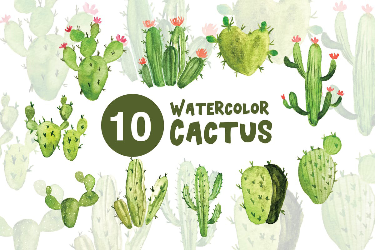 10款绿色植物仙人掌水彩插画 10 Watercolor C