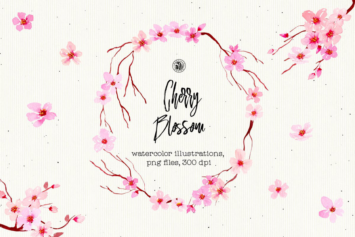 樱花水彩手绘插画 Cherry Blossom Flower