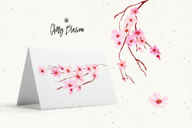 樱花水彩手绘插画 Cherry Blossom Flower