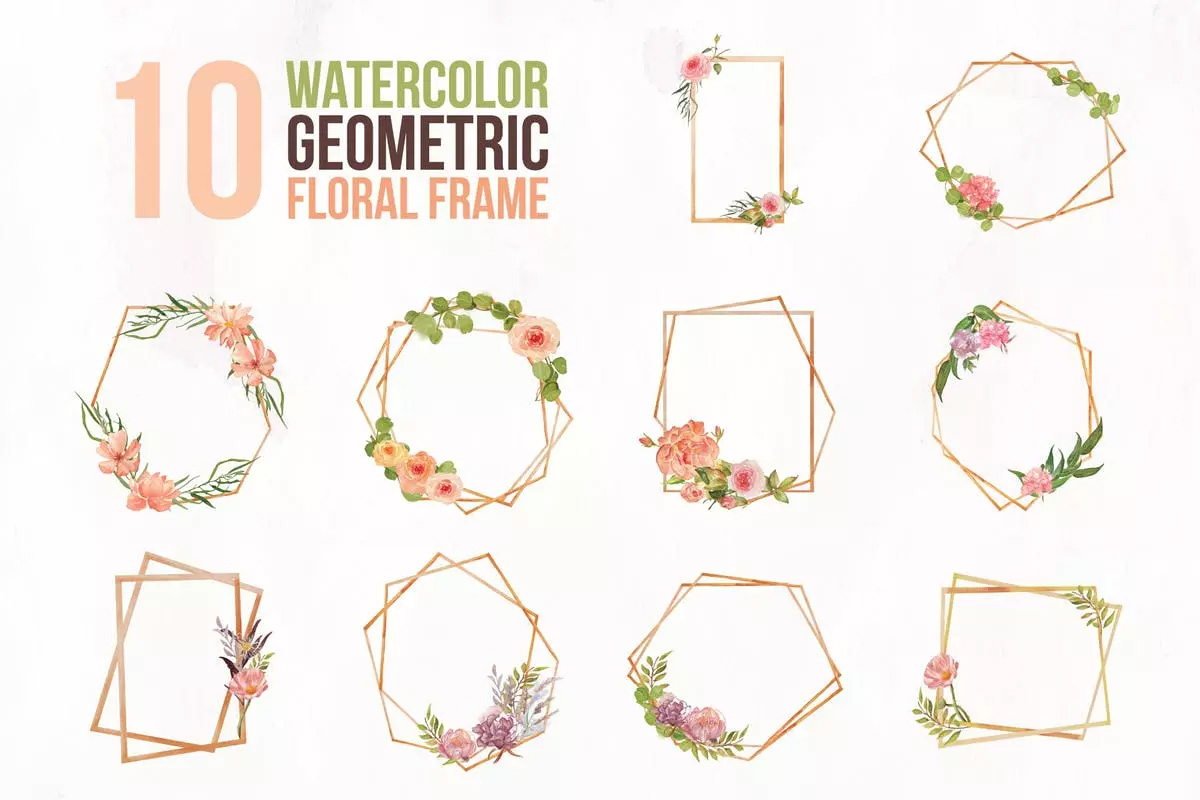 10个几何水彩花卉插图 10 Watercolor Geom