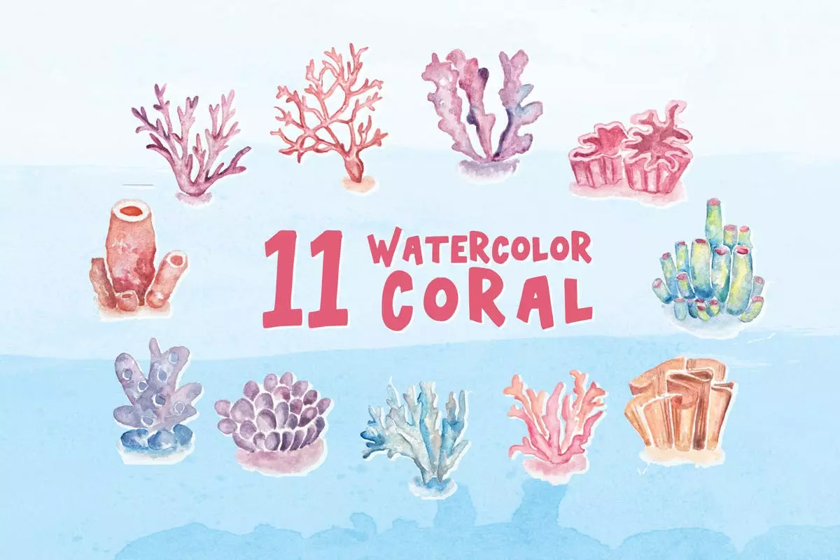 海洋珊瑚水彩元素插画 11 Watercolor Coral