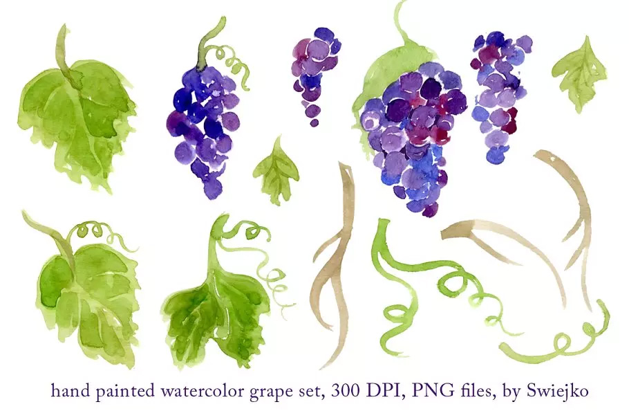 紫葡萄水彩剪贴画图案 Watercolor Grapes