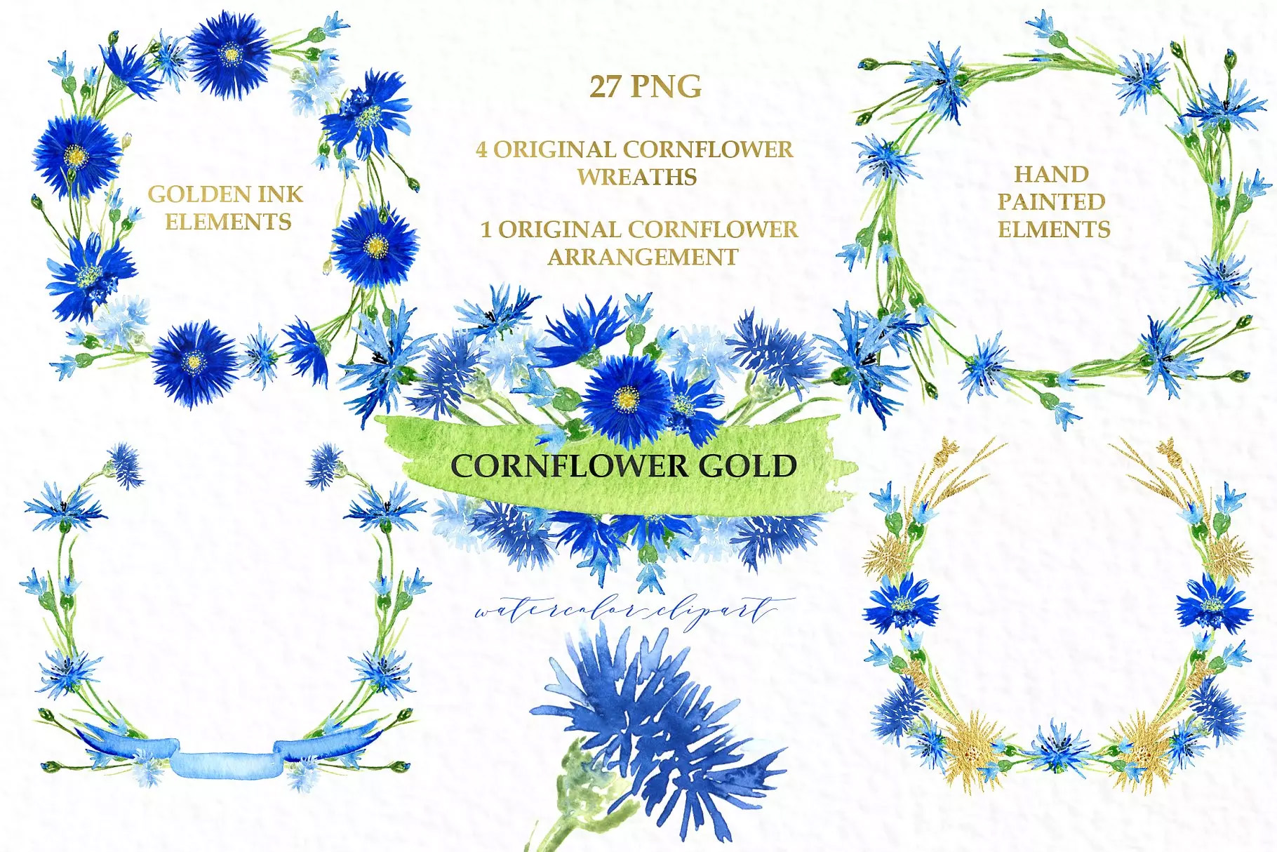 矢车菊 金色水彩剪贴画 Cornflowers gold.