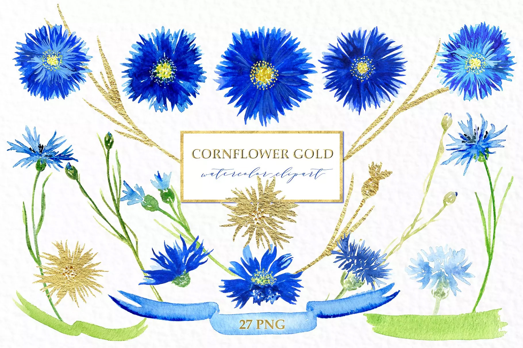 矢车菊 金色水彩剪贴画 Cornflowers gold.