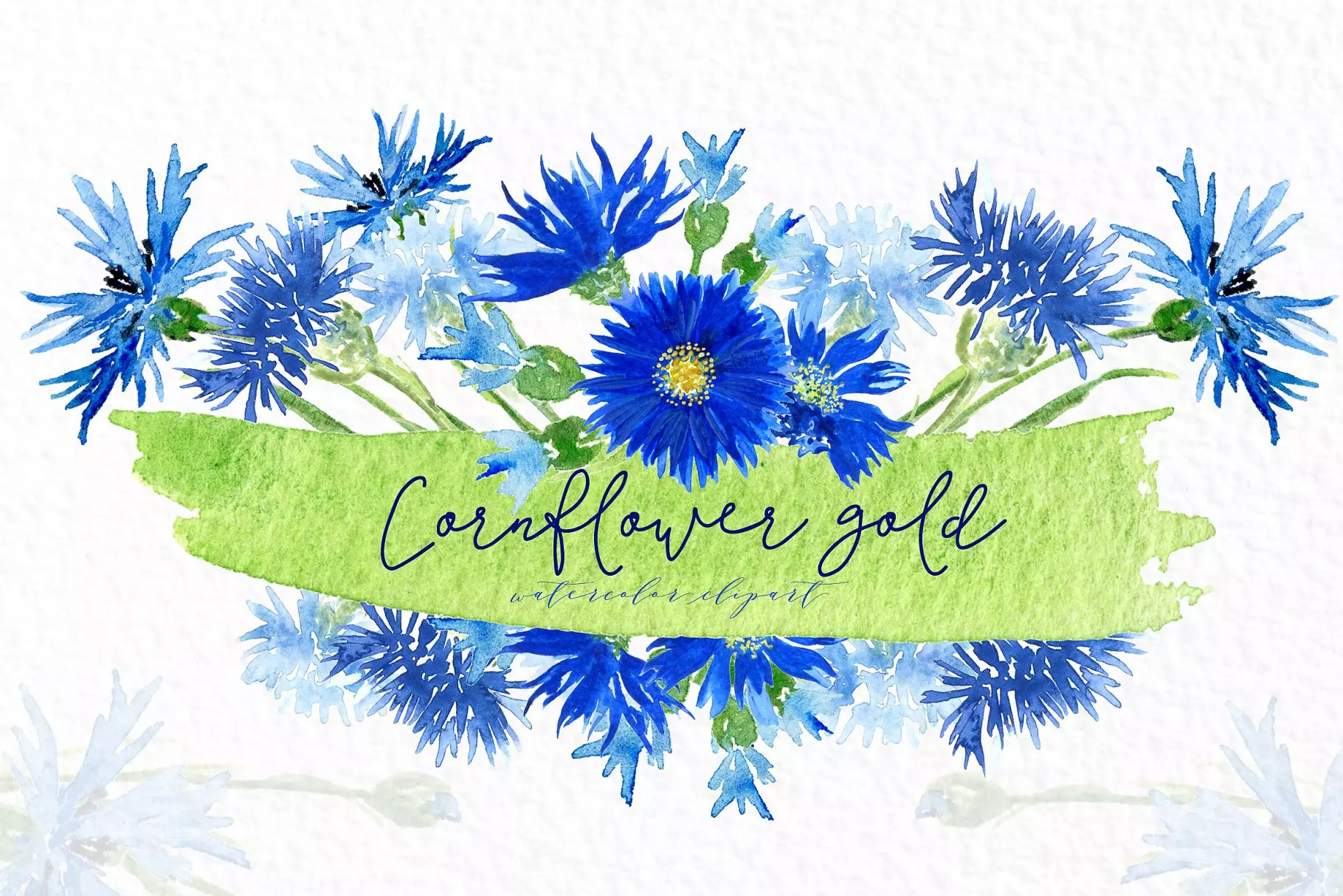 矢车菊 金色水彩剪贴画 Cornflowers gold.